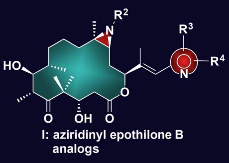 aziridine epothilone B analogs