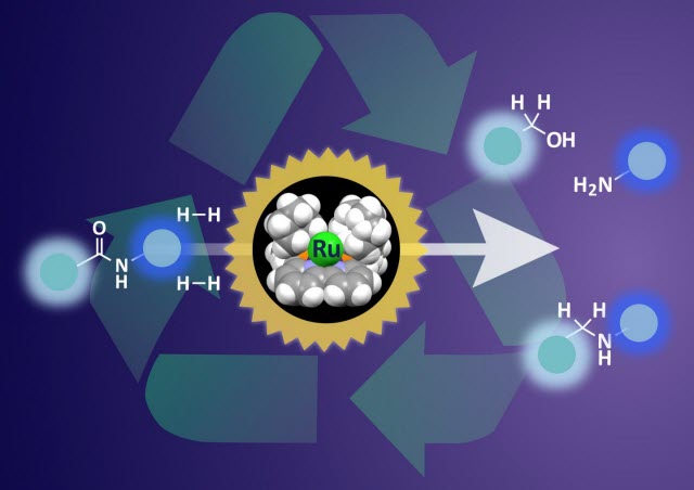 Design of a sterically confined bipyridine-ruthenium (Ru) framework 