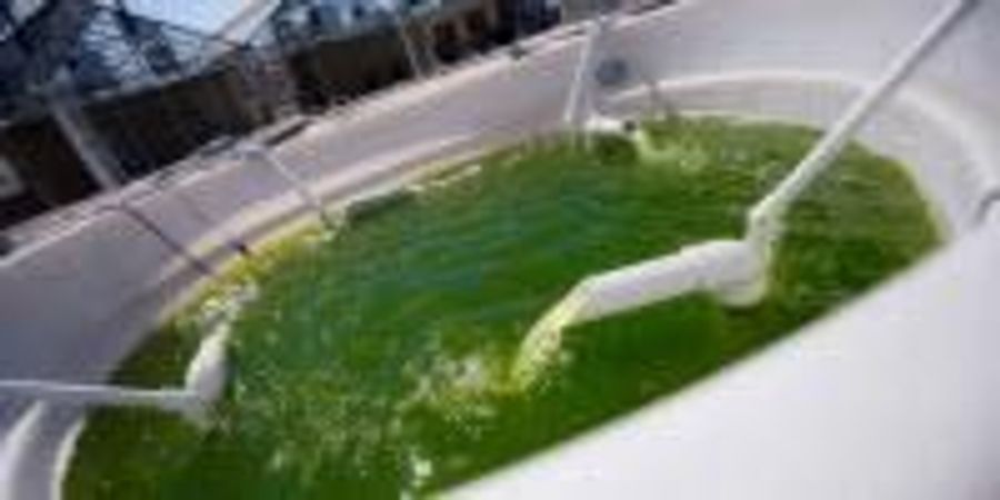 Scientists Complete First EPA-Approved Outdoor Field Trial for ...