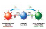 Mulitplexing Reagent System