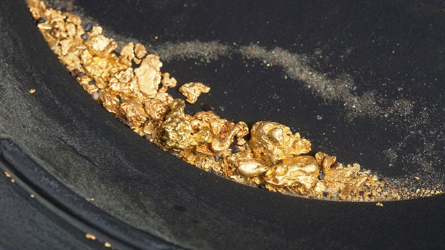 Gold-digging bacteria could be high-tech miners - CBS News