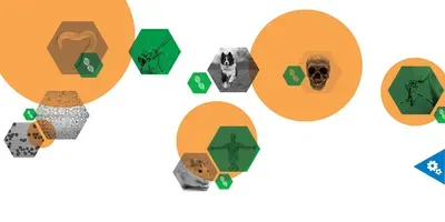Whole Genome Sequencing Milestones