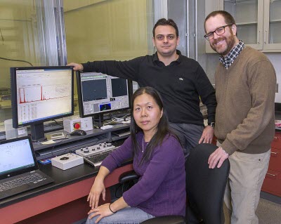 Lihua Zhang, Vitor Manfrinato, and Aaron Stein, DOE/Brookhaven National Laboratory