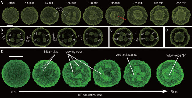 Snapshots of the 3-D structure of iron nanoparticles in the course of the oxidation process