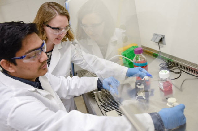 Chemical engineer Caryn Heldt and graduate student Ashish Saksule