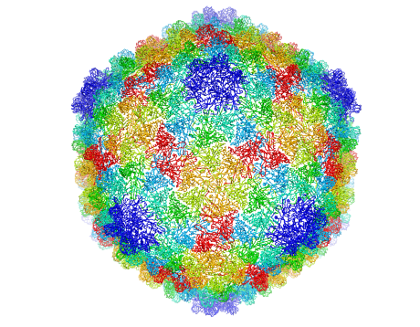 Complete capsid of bacteriophage P22 