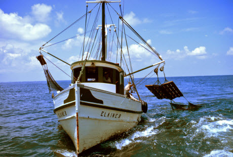 Double-rigged shrimp trawler 