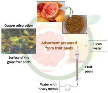 using fruit peels to clean wastewater