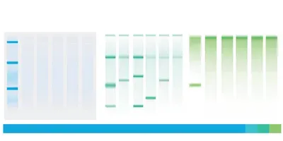 Troubleshooting PCR