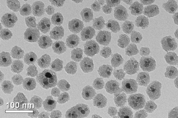 Iron oxide nanoparticles