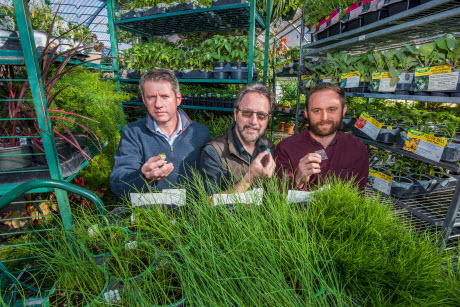 Sandia National Laboratories’ Ronen Polsky, left, Ron Manginell, center, and Philip Miller