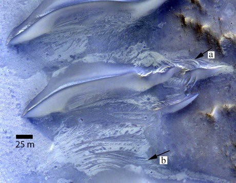 Striations Exposed on the Surface between Dunes Indicate Fluctuating Levels of Salty Groundwater