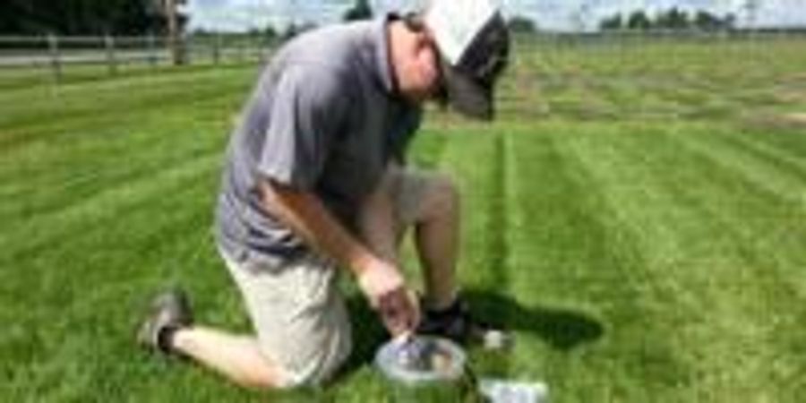 Grow, Mow, Mulch: Finding Lawn's Value | Lab Manager