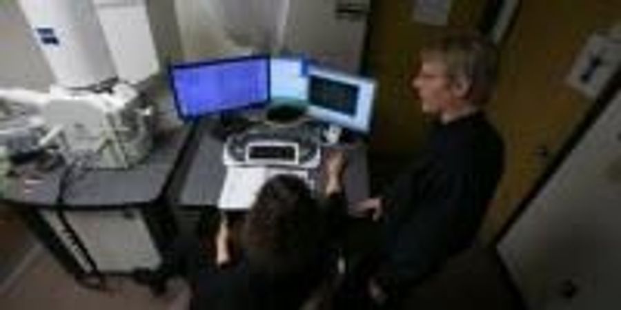 High-Resolution Images Show How the Brain Resets During Sleep | Lab Manager