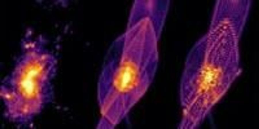 New 'Fuzzy' Dark Matter Research Disrupts Conventional Thinking | Lab ...