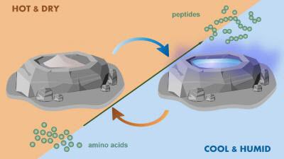 A Possible Model for How Biological Polymers May Have Formed during the Origin of Life on Earth