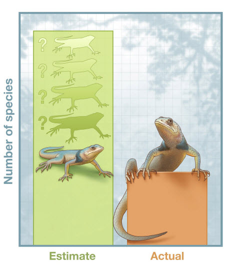 Genomic tools for species discovery inflate estimates of species numbers, U-Michigan biologists contend