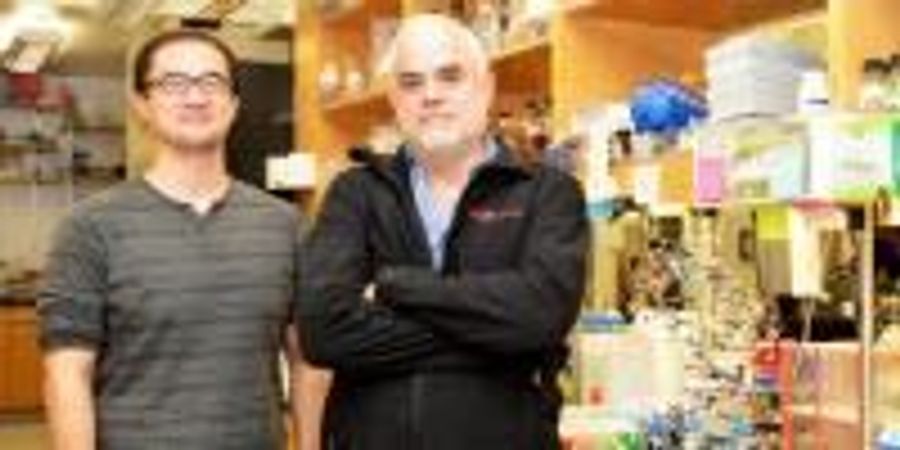 Scientists Create First Stable Semisynthetic Organism | Lab Manager