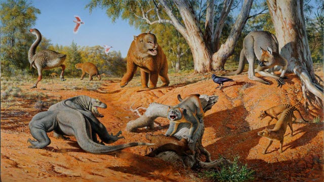 menagerie of megafauna in Australia