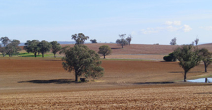 fields in New South Wales Central West