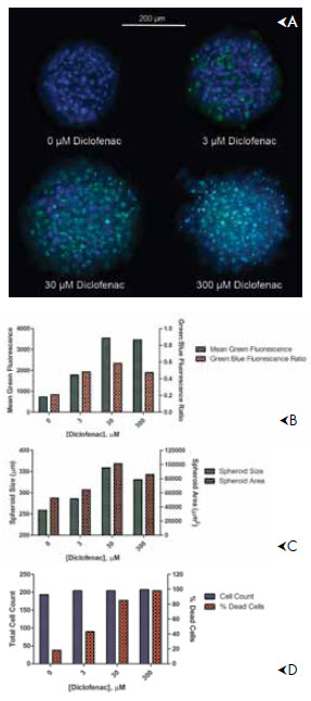 Images and image analysis of liver microtissue spheroids