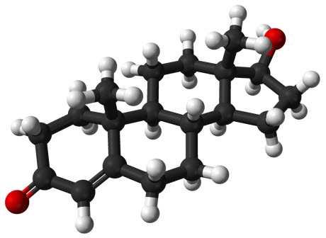 A ball-and-stick model of testosterone