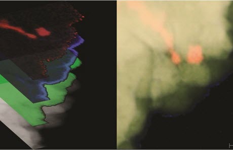 nickel-platinum composite material 