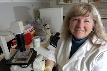 Linda Mansfield, a microbiologist with the College of Veterinary Medicine,