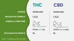 THC versus CBD