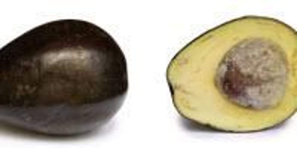New Research Finds Avocado Extract Can Prevent Listeria in Food