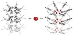 Scientists used an X-ray laser to capture the first snapshots of a chemical interaction between two biomolecules in real time and at an atomic level. It involves ‘riboswitches’ from bacterial RNA—shown here as synchronized swimmers—and a small molecule called adenine (red balls).
