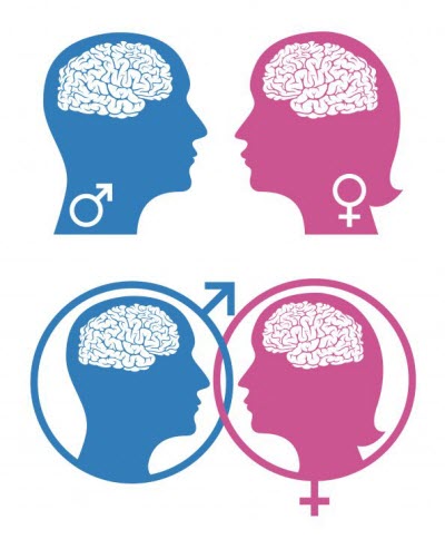 Study Reveals The Brain Regulates Social Behavior Differently In Males And Females