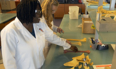 Women, diversity in STEM focus of $3.4 million grant to Clemson