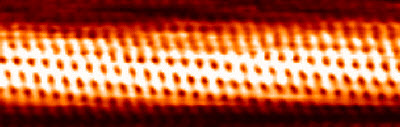 single-walled carbon nanotube