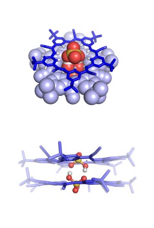 bisulfate dimer