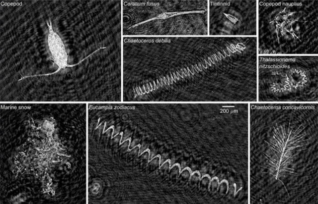 Holographic Microscope