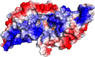 HcaR protein complex