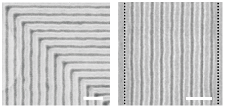 block copolymer films