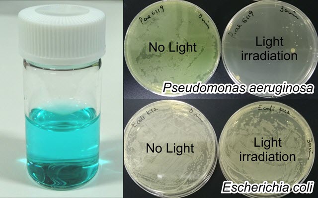 New Strategy to Fight Antibiotic-Resistant Bacteria