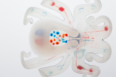 Harvard octobot