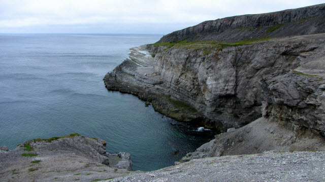 Burnt Cape Ecological Reserve, Newfoundland and Labrador, Canada