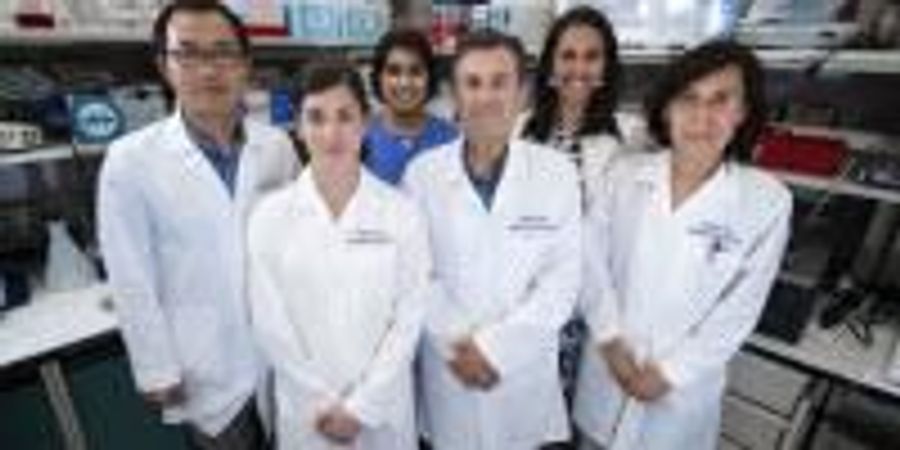 Lab Team Spins Ginger into Nanoparticles to Heal Inflammatory Bowel ...