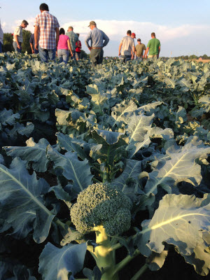 meeting of prospective broccoli growers 