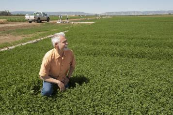 Tom Tomich, director of the UC Davis Agricultural Sustainability Institute 