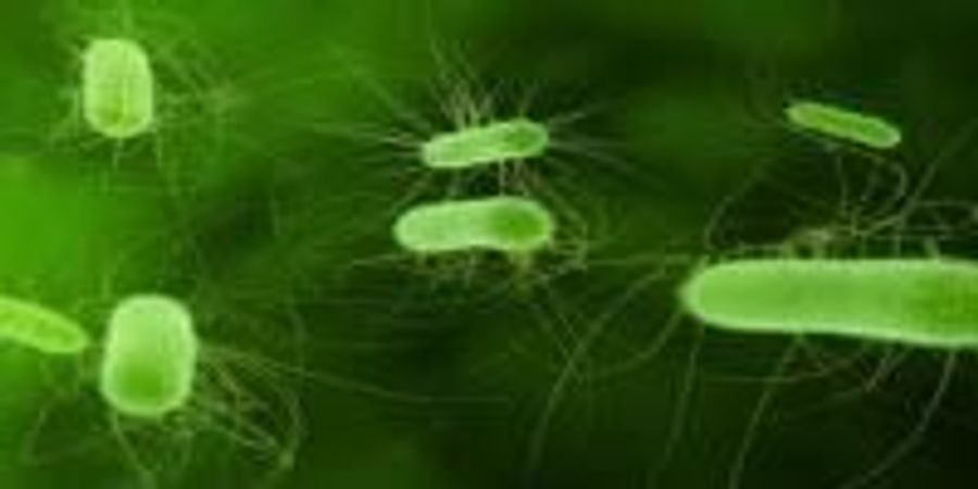 Engineering a Better Biofuel | Lab Manager