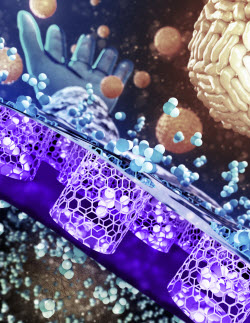 a flexible membrane with sub-5 nanometer single-walled carbon nanotube pores