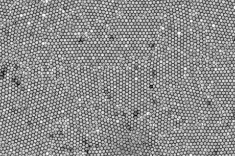 A collection of small 2D colloidal crystals 