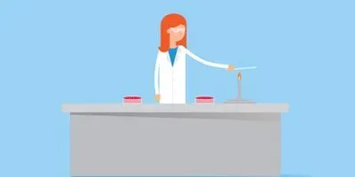 CO2 Incubator for Your Lab