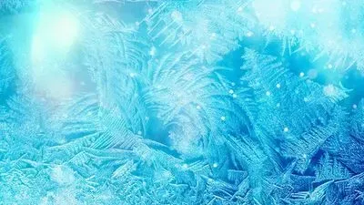 Laboratory Freeze Drying