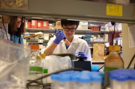 University of Chicago graduate student Kevin Lei, with Maria-Luisa Alegre, MD, PhD